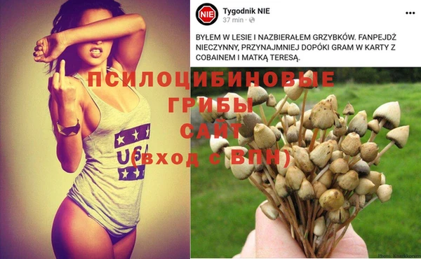 эйфоретик Баксан