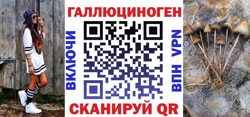 МЕГА онион  Троицк  Галлюциногенные грибы Psilocybine cubensis 